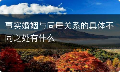 事实婚姻与同居关系的具体不同之处有什么