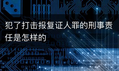 犯了打击报复证人罪的刑事责任是怎样的