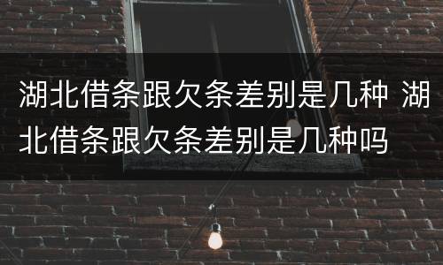 湖北借条跟欠条差别是几种 湖北借条跟欠条差别是几种吗