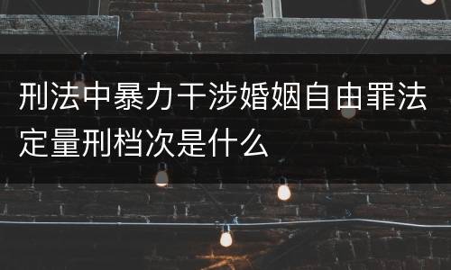 刑法中暴力干涉婚姻自由罪法定量刑档次是什么