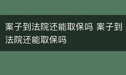 案子到法院还能取保吗 案子到法院还能取保吗