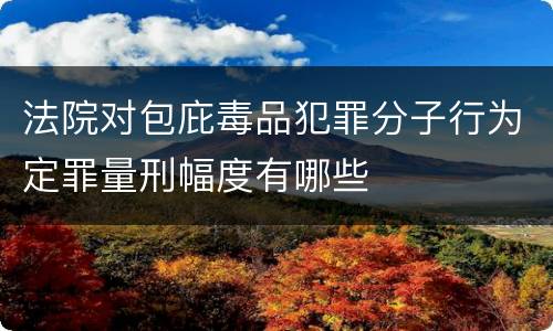 法院对包庇毒品犯罪分子行为定罪量刑幅度有哪些