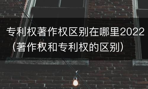 专利权著作权区别在哪里2022（著作权和专利权的区别）