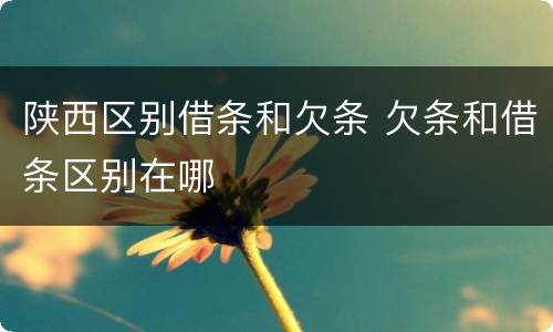 陕西区别借条和欠条 欠条和借条区别在哪