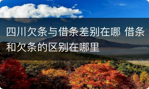 四川欠条与借条差别在哪 借条和欠条的区别在哪里
