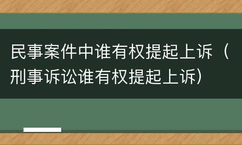 民事案件中谁有权提起上诉（刑事诉讼谁有权提起上诉）