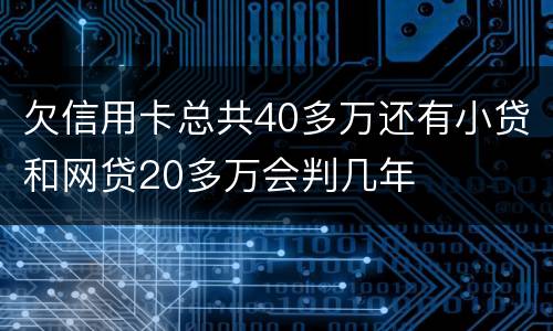 欠信用卡总共40多万还有小贷和网贷20多万会判几年