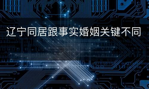 辽宁同居跟事实婚姻关键不同