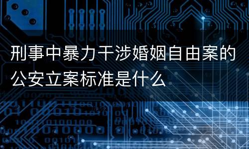 刑事中暴力干涉婚姻自由案的公安立案标准是什么