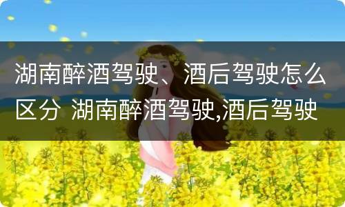 湖南醉酒驾驶、酒后驾驶怎么区分 湖南醉酒驾驶,酒后驾驶怎么区分轻重