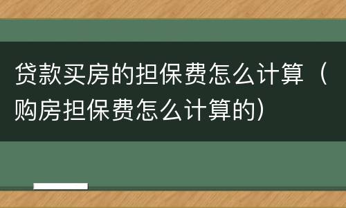 贷款买房的担保费怎么计算（购房担保费怎么计算的）