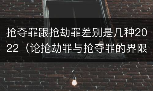 抢夺罪跟抢劫罪差别是几种2022（论抢劫罪与抢夺罪的界限）