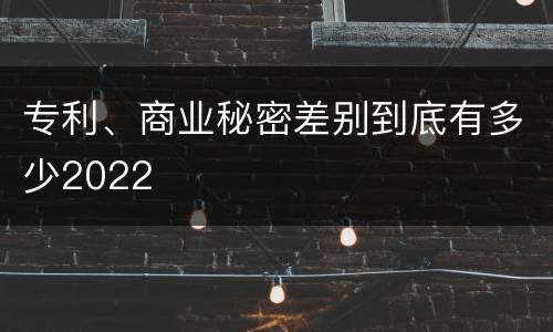 专利、商业秘密差别到底有多少2022