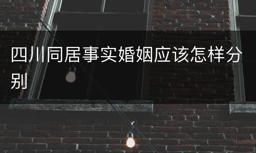 四川同居事实婚姻应该怎样分别
