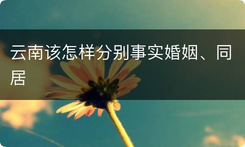 云南该怎样分别事实婚姻、同居