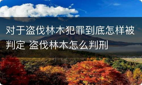 对于盗伐林木犯罪到底怎样被判定 盗伐林木怎么判刑