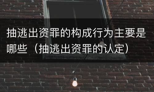 抽逃出资罪的构成行为主要是哪些（抽逃出资罪的认定）