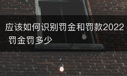 应该如何识别罚金和罚款2022 罚金罚多少