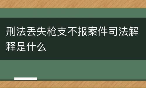 刑法丢失枪支不报案件司法解释是什么