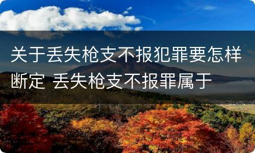 关于丢失枪支不报犯罪要怎样断定 丢失枪支不报罪属于