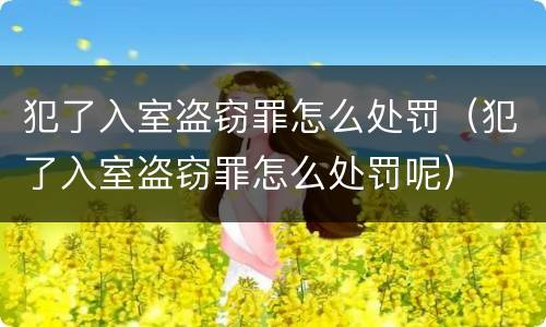 犯了入室盗窃罪怎么处罚（犯了入室盗窃罪怎么处罚呢）