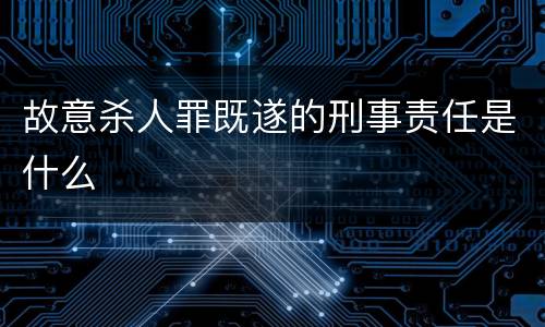 故意杀人罪既遂的刑事责任是什么
