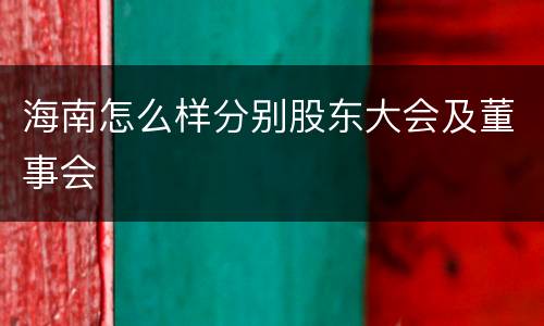 海南怎么样分别股东大会及董事会