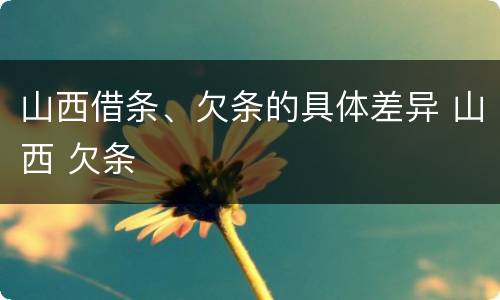 山西借条、欠条的具体差异 山西 欠条