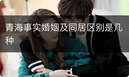 青海事实婚姻及同居区别是几种