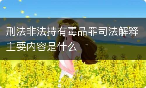 刑法非法持有毒品罪司法解释主要内容是什么