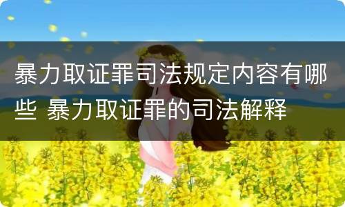 暴力取证罪司法规定内容有哪些 暴力取证罪的司法解释