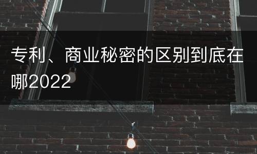 专利、商业秘密的区别到底在哪2022