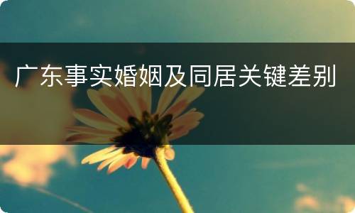 广东事实婚姻及同居关键差别