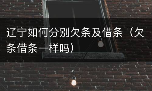 辽宁如何分别欠条及借条（欠条借条一样吗）