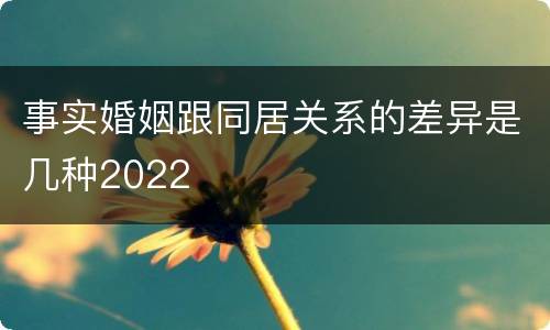 事实婚姻跟同居关系的差异是几种2022