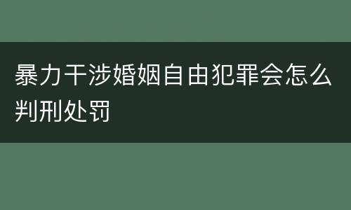 暴力干涉婚姻自由犯罪会怎么判刑处罚