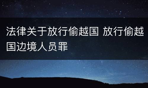 法律关于放行偷越国 放行偷越国边境人员罪