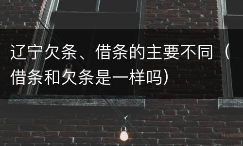 辽宁欠条、借条的主要不同（借条和欠条是一样吗）