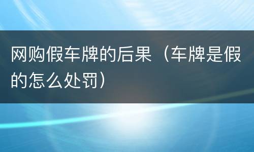 网购假车牌的后果（车牌是假的怎么处罚）