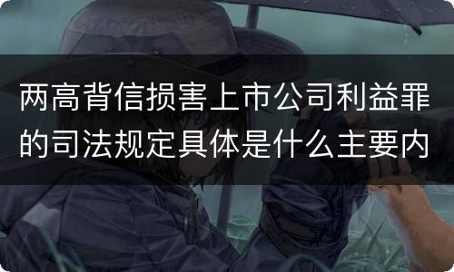 两高背信损害上市公司利益罪的司法规定具体是什么主要内容
