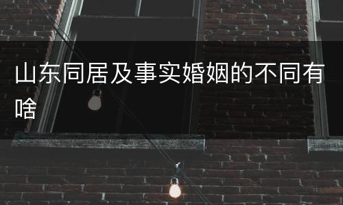 山东同居及事实婚姻的不同有啥