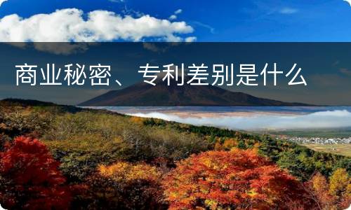 商业秘密、专利差别是什么