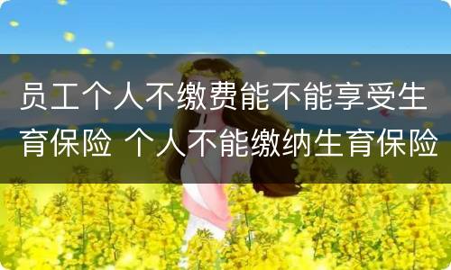 员工个人不缴费能不能享受生育保险 个人不能缴纳生育保险吗