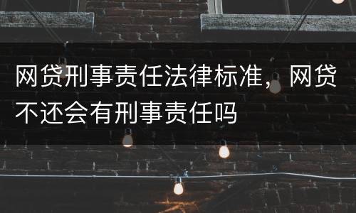 网贷刑事责任法律标准，网贷不还会有刑事责任吗