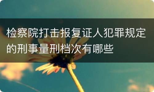 检察院打击报复证人犯罪规定的刑事量刑档次有哪些