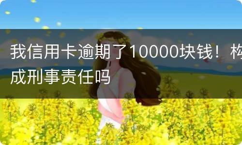 我信用卡逾期了10000块钱！构成刑事责任吗