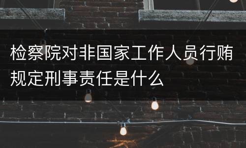 检察院对非国家工作人员行贿规定刑事责任是什么