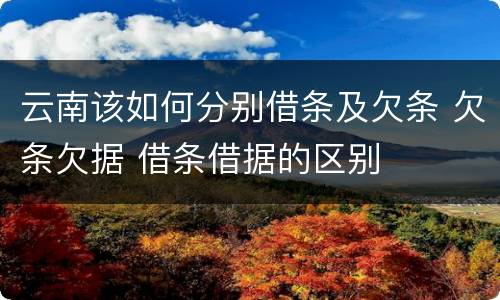 云南该如何分别借条及欠条 欠条欠据 借条借据的区别