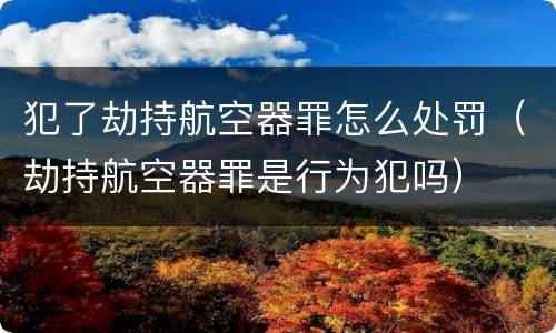 犯了劫持航空器罪怎么处罚（劫持航空器罪是行为犯吗）