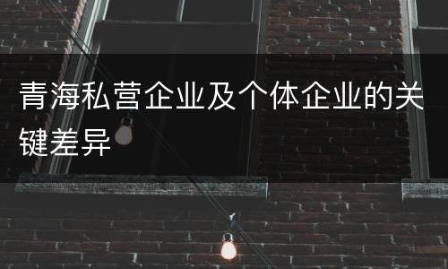 青海私营企业及个体企业的关键差异